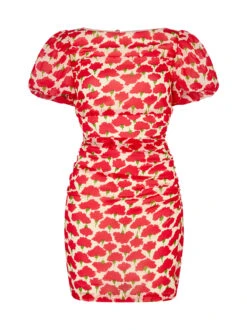 Caitlin Carnation Print Mini Dress 9 Caitlin Carnation Print Mini Dress -Kitri Studio CAITLINCARNATIONMANNEQUIN